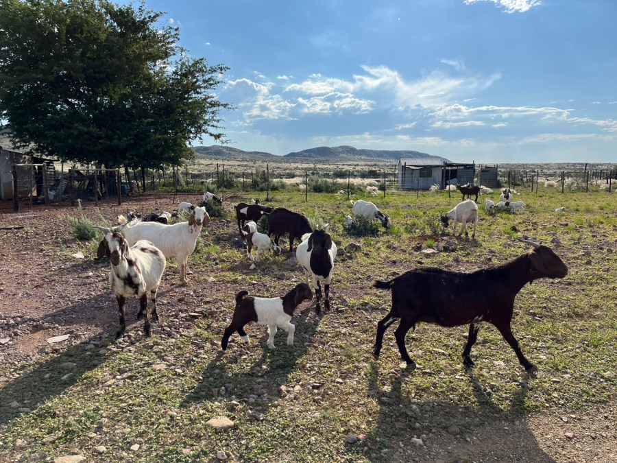 0 Bedroom Property for Sale in Upington Rural Northern Cape